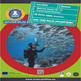 Mehmet Sepici 60. Yıl Cumhuriyet İlkokulu