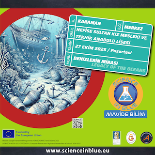 Nefise Sultan Kız Teknik Ve Meslek Lisesi